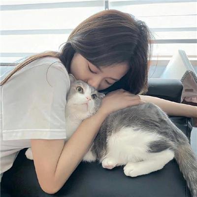 猫咪马汀